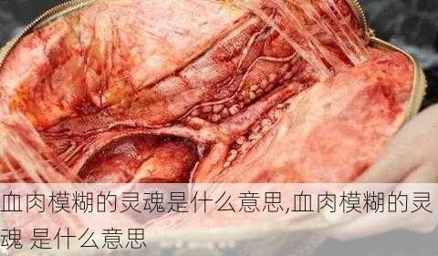 血肉模糊的灵魂是什么意思,血肉模糊的灵魂 是什么意思