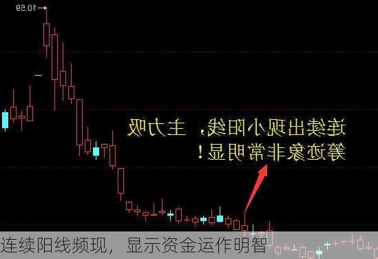 连续阳线频现，显示资金运作明智