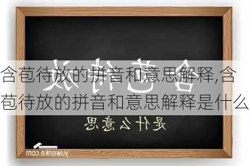 含苞待放的拼音和意思解释,含苞待放的拼音和意思解释是什么