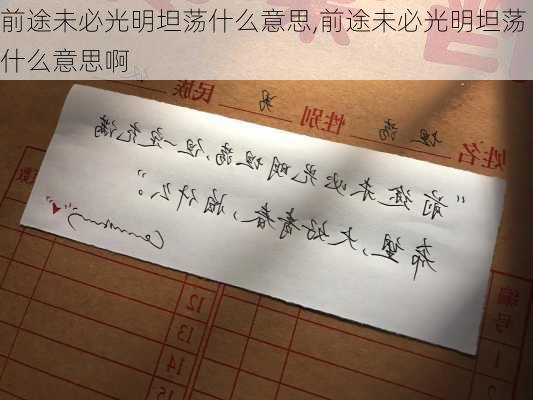 前途未必光明坦荡什么意思,前途未必光明坦荡什么意思啊