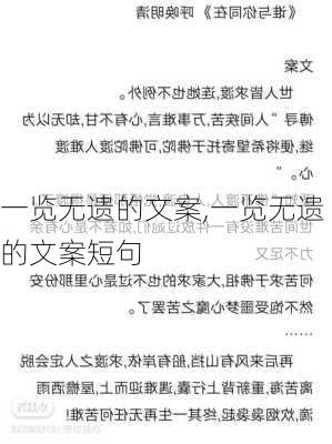 一览无遗的文案,一览无遗的文案短句