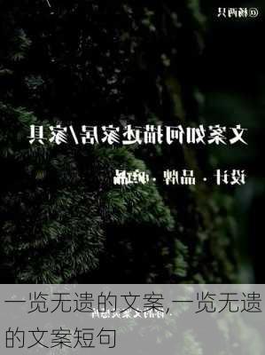 一览无遗的文案,一览无遗的文案短句