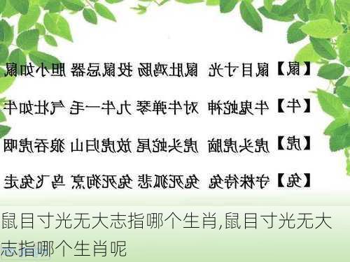 鼠目寸光无大志指哪个生肖,鼠目寸光无大志指哪个生肖呢