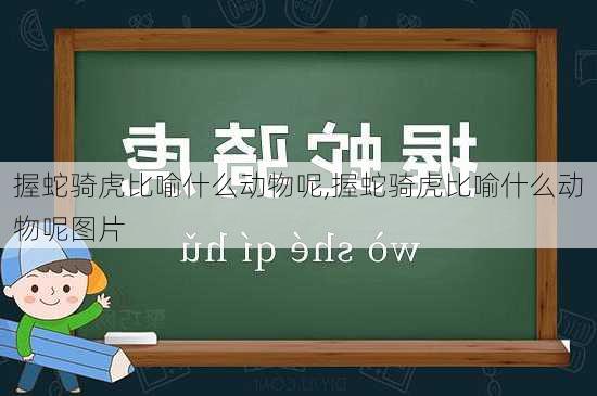 握蛇骑虎比喻什么动物呢,握蛇骑虎比喻什么动物呢图片