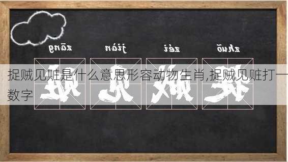 捉贼见赃是什么意思形容动物生肖,捉贼见赃打一数字