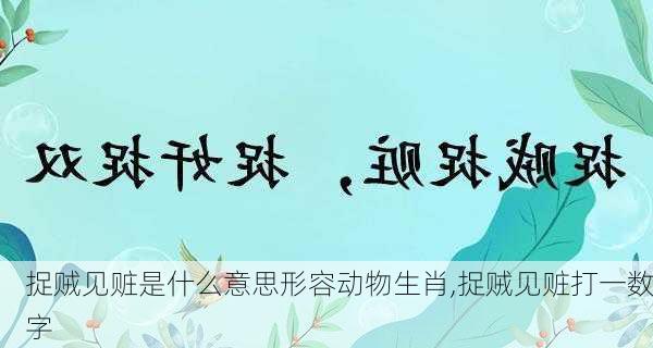 捉贼见赃是什么意思形容动物生肖,捉贼见赃打一数字