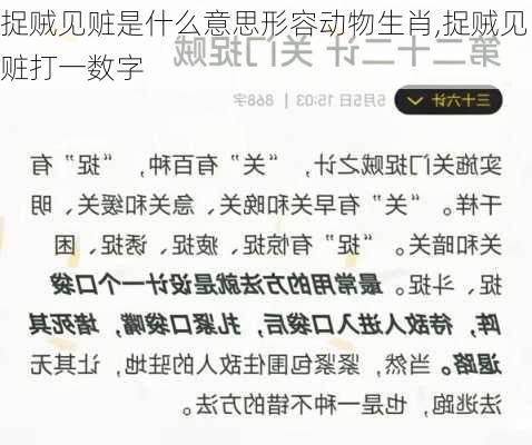 捉贼见赃是什么意思形容动物生肖,捉贼见赃打一数字