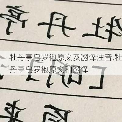 牡丹亭皂罗袍原文及翻译注音,牡丹亭皂罗袍原文和翻译