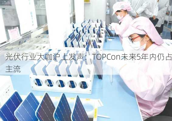 光伏行业大咖沪上发声：TOPCon未来5年内仍占主流