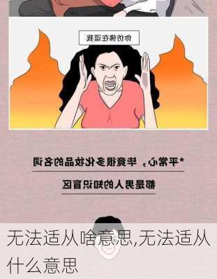 无法适从啥意思,无法适从什么意思