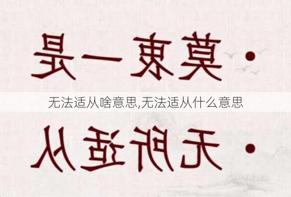 无法适从啥意思,无法适从什么意思