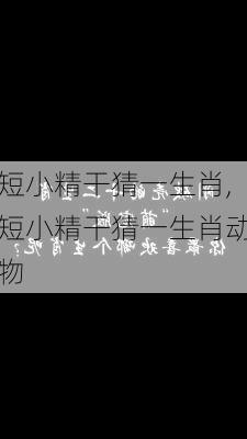 短小精干猜一生肖,短小精干猜一生肖动物