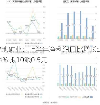 宝地矿业：上半年净利润同比增长53.24% 拟10派0.5元