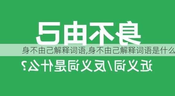 身不由己解释词语,身不由己解释词语是什么