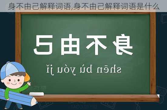 身不由己解释词语,身不由己解释词语是什么