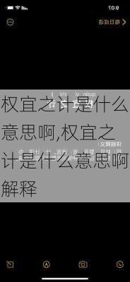 权宜之计是什么意思啊,权宜之计是什么意思啊解释