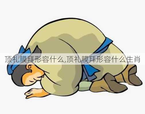 顶礼膜拜形容什么,顶礼膜拜形容什么生肖