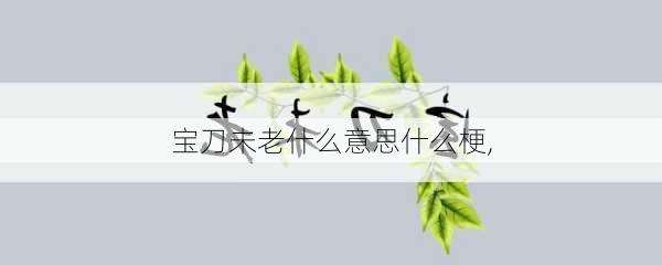 宝刀未老什么意思什么梗,