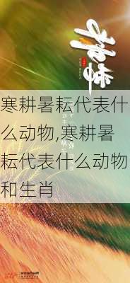 寒耕暑耘代表什么动物,寒耕暑耘代表什么动物和生肖