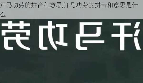 汗马功劳的拼音和意思,汗马功劳的拼音和意思是什么