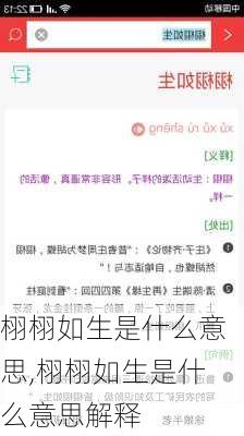 栩栩如生是什么意思,栩栩如生是什么意思解释