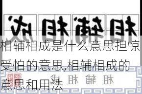 相辅相成是什么意思担惊受怕的意思,相辅相成的意思和用法