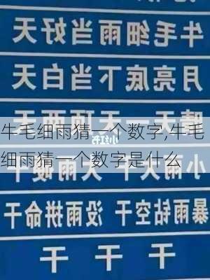 牛毛细雨猜一个数字,牛毛细雨猜一个数字是什么