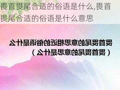 畏首畏尾合适的俗语是什么,畏首畏尾合适的俗语是什么意思