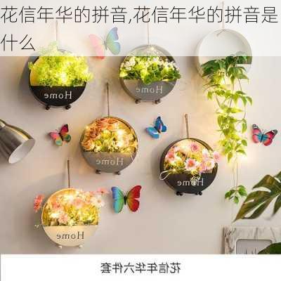 花信年华的拼音,花信年华的拼音是什么