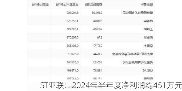 ST亚联：2024年半年度净利润约451万元