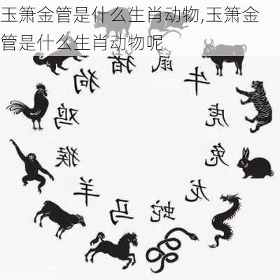 玉箫金管是什么生肖动物,玉箫金管是什么生肖动物呢