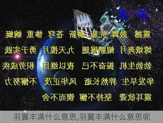 羽翼丰满什么意思,羽翼丰满什么意思呢