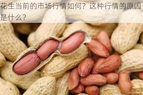 花生当前的市场行情如何？这种行情的原因是什么？