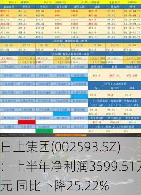 日上集团(002593.SZ)：上半年净利润3599.51万元 同比下降25.22%