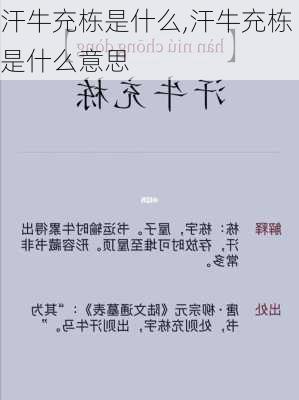 汗牛充栋是什么,汗牛充栋是什么意思