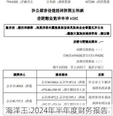 海洋王:2024年半年度财务报告