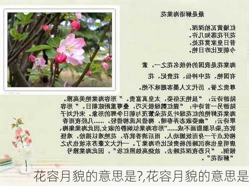 花容月貌的意思是?,花容月貌的意思是