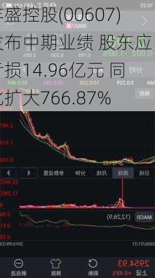 丰盛控股(00607)发布中期业绩 股东应占亏损14.96亿元 同比扩大766.87%