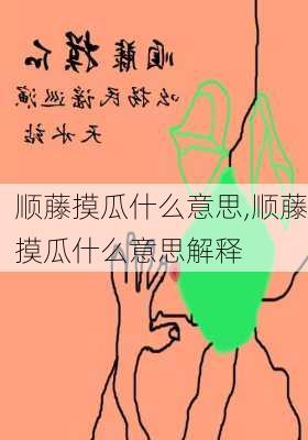 顺藤摸瓜什么意思,顺藤摸瓜什么意思解释