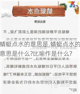 蜻蜓点水的意思是,蜻蜓点水的意思是什么?比喻作是什么?