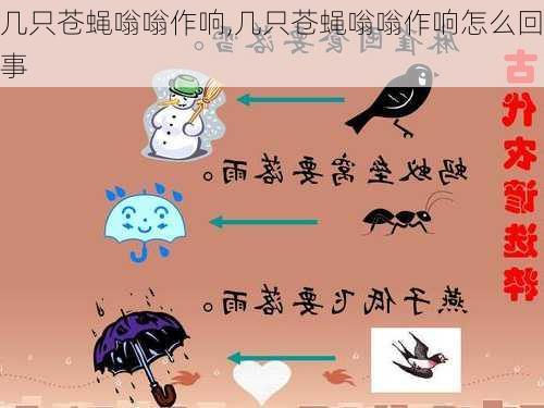 几只苍蝇嗡嗡作响,几只苍蝇嗡嗡作响怎么回事