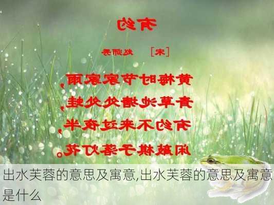 出水芙蓉的意思及寓意,出水芙蓉的意思及寓意是什么