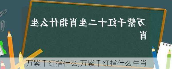 万紫千红指什么,万紫千红指什么生肖