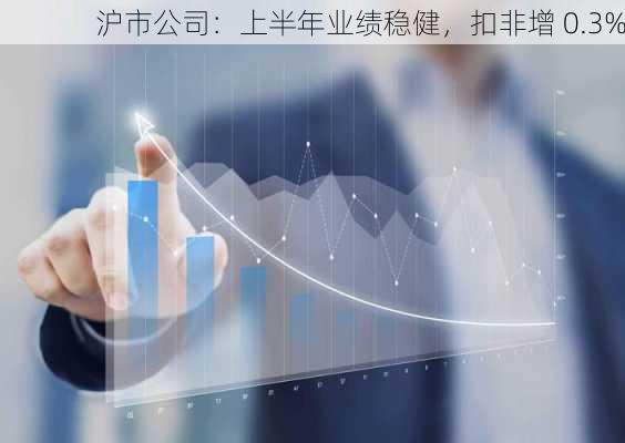 沪市公司：上半年业绩稳健，扣非增 0.3%