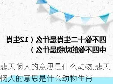 悲天悯人的意思是什么动物,悲天悯人的意思是什么动物生肖