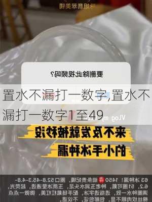 置水不漏打一数字,置水不漏打一数字1至49