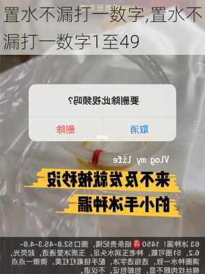 置水不漏打一数字,置水不漏打一数字1至49