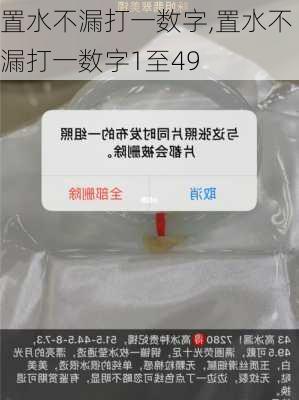 置水不漏打一数字,置水不漏打一数字1至49