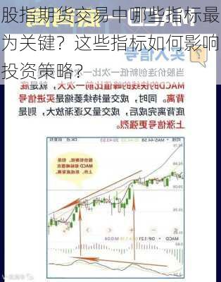 股指期货交易中哪些指标最为关键？这些指标如何影响投资策略？