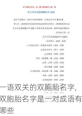 一语双关的双胞胎名字,双胞胎名字是一对成语有哪些